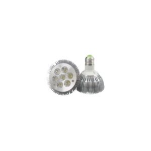 PAR 30 Style LED Bulb